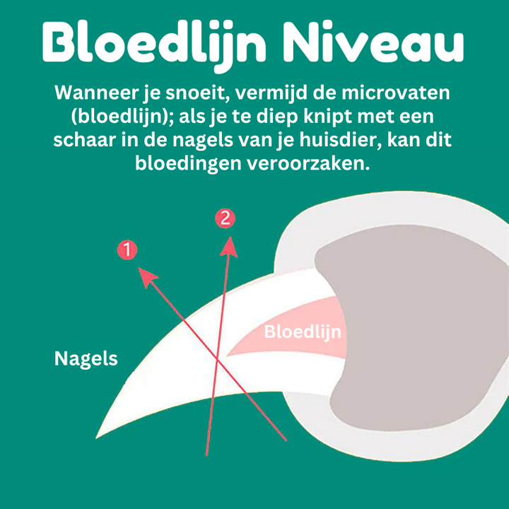 Skanto | MAX - Beste negleklipper for hunder med hurtigsensorer