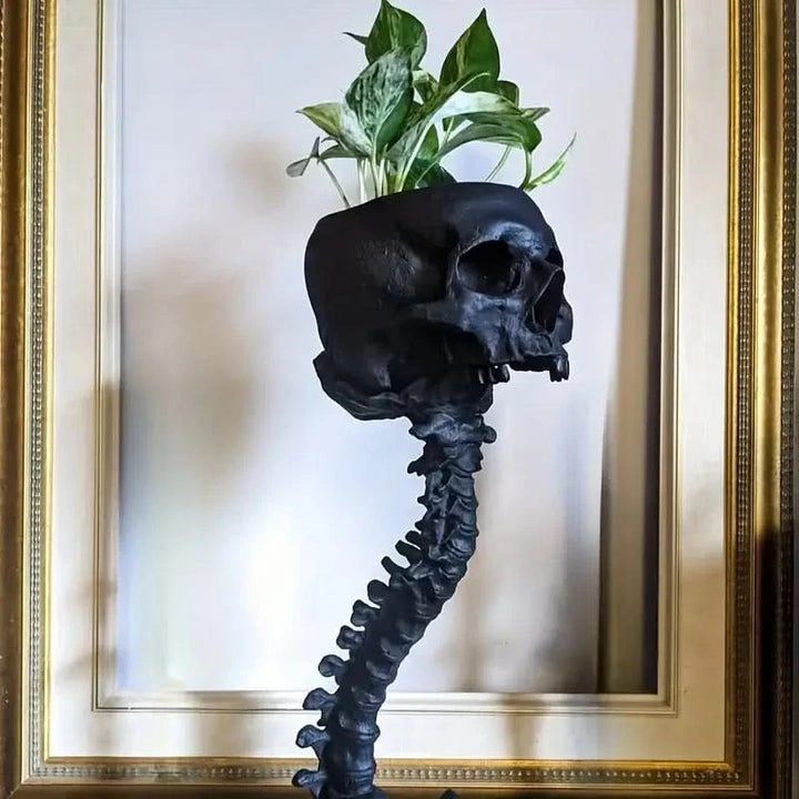 Skanto | BoneBloom | Planter med Hodeskalle og Ryggsøyle