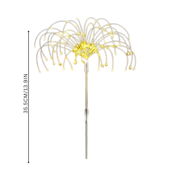 Skanto | BloomBright