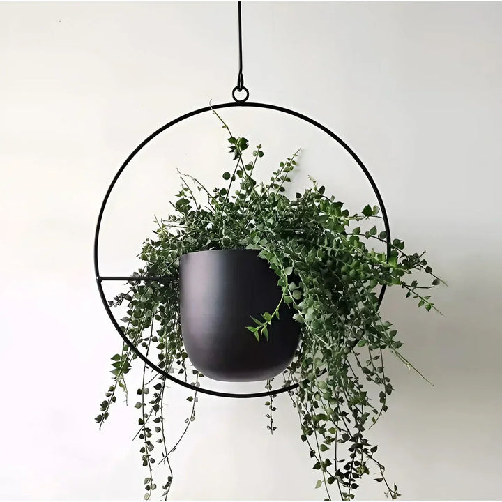 PetalAura - Verdura Oasis Plantepotte Skanto