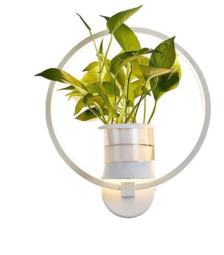 Skanto | Botanisk Vegglampe - vegglampe med plante for stilfull belysning