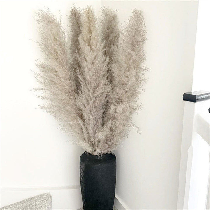 Skanto | FeatherFawn - Tørkede Pampasblomster