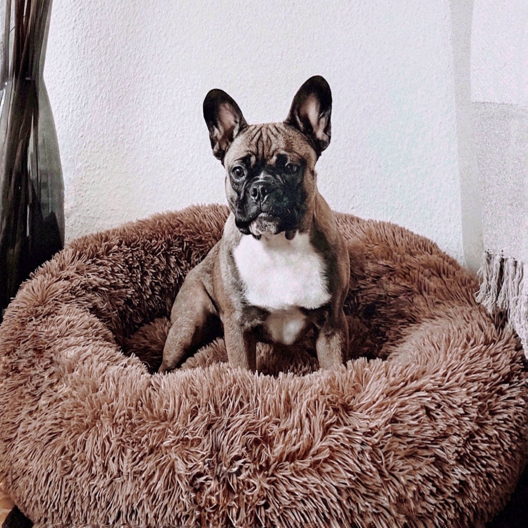 Skanto | FluffyNest Komfort Hundeseng – Ortopedisk Plysj Sovepute for Hunder