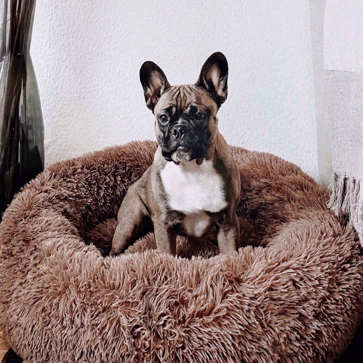 Skanto | FluffyNest Komfort Hundeseng – Ortopedisk Plysj Sovepute for Hunder