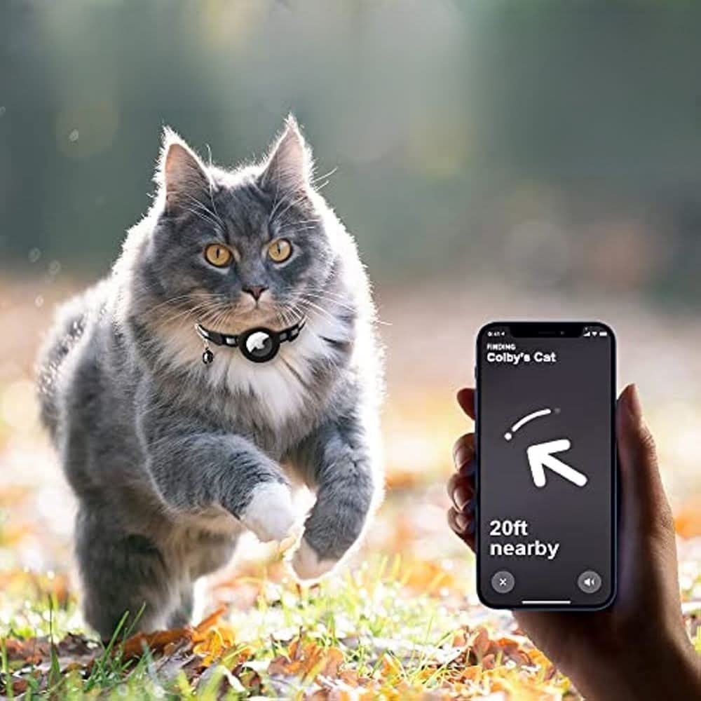 GPS-Tracker-Halsband für mehr Sicherheit und Sichtbarkeit bei Katzen