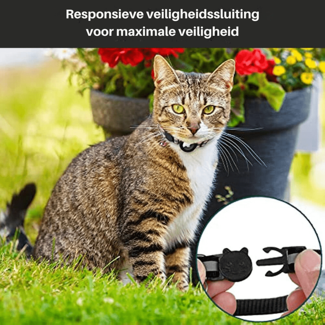 Skanto | GPS Tracker Krage for Sikkerhet & Synlighet for Katter