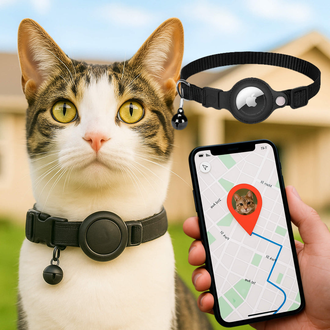 Skanto | Kat GPS Sporingshalsbånd | Hurtigutløserlås, Reflekterende Design & Holdbar for Utendørs Sikkerhetseventyr
