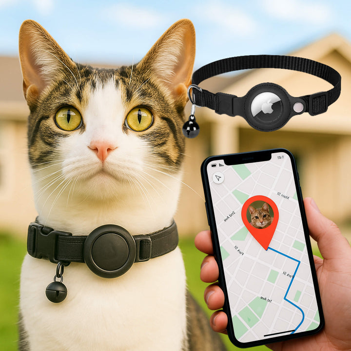 Skanto | Kat GPS Sporingshalsbånd | Hurtigutløserlås, Reflekterende Design & Holdbar for Utendørs Sikkerhetseventyr
