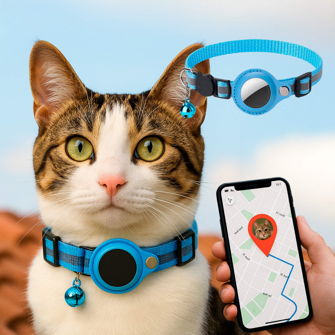 Skanto | Kat GPS Sporingshalsbånd | Hurtigutløserlås, Reflekterende Design & Holdbar for Utendørs Sikkerhetseventyr