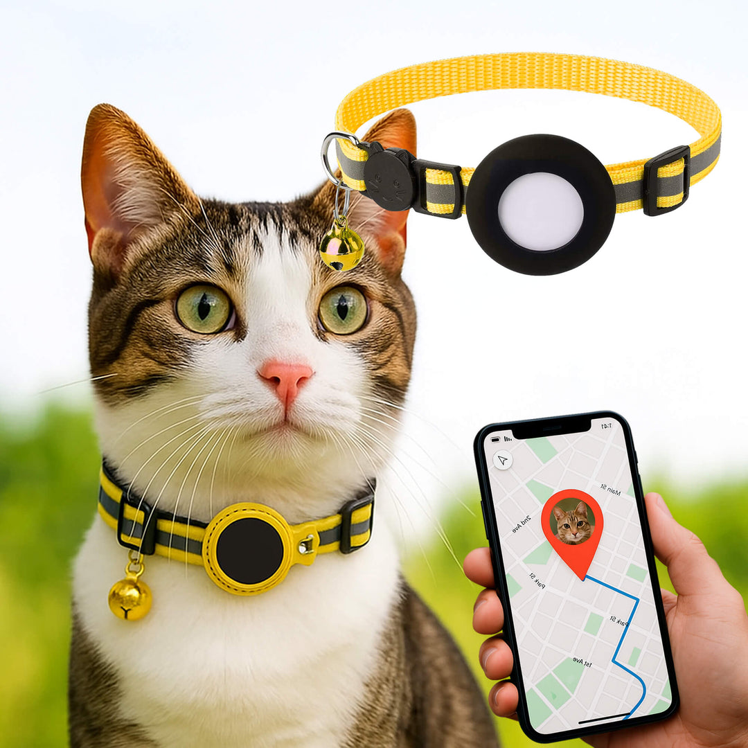 Skanto | Kat GPS Sporingshalsbånd | Hurtigutløserlås, Reflekterende Design & Holdbar for Utendørs Sikkerhetseventyr