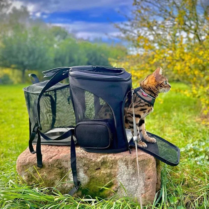 Skanto | Komfortabel Kattsekk med Utsiktsvindu