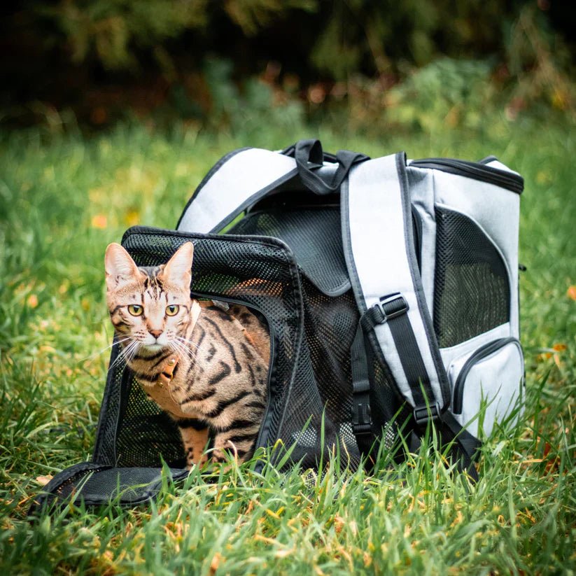 Skanto | Komfortabel Kattsekk med Utsiktsvindu