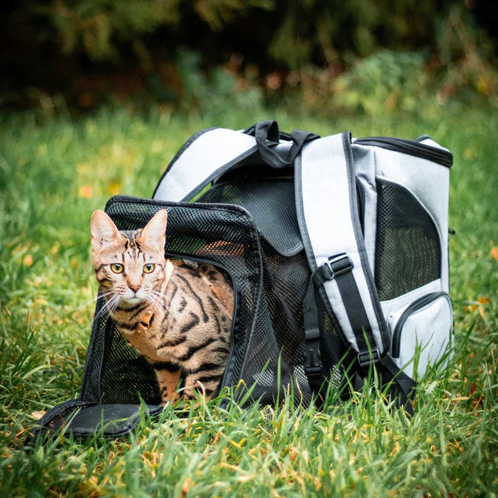 Skanto | Komfortabel Kattsekk med Utsiktsvindu
