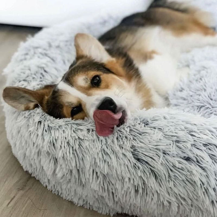 Skanto | Anti-Stress Hundeseng med Myk Fuskepels & Støttende Polstring