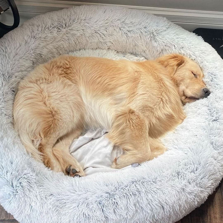 Skanto | Anti-Stress Hundeseng med Myk Fuskepels & Støttende Polstring