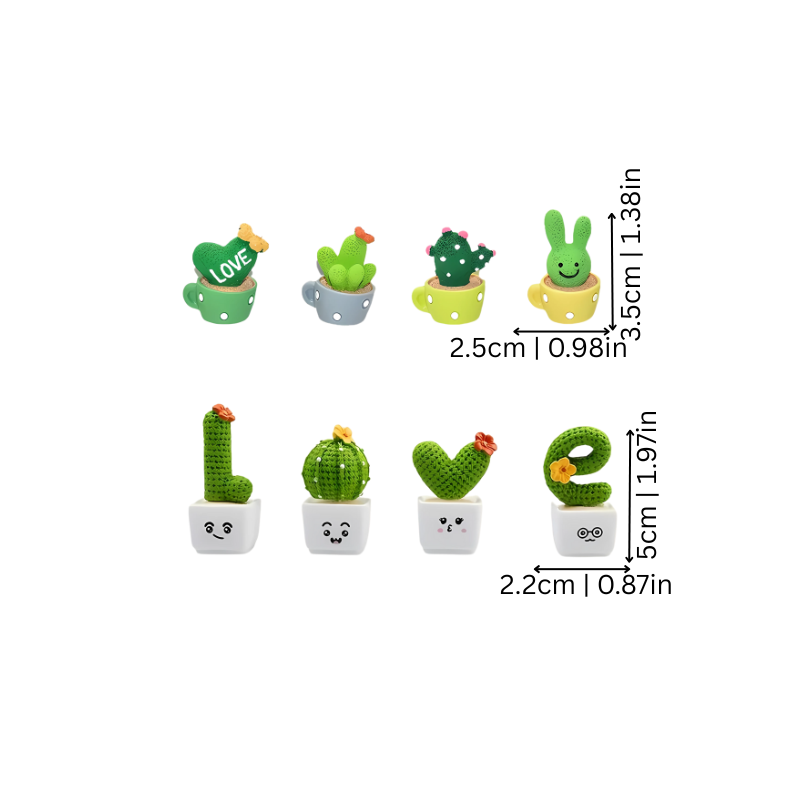 Skanto | CactusCharm