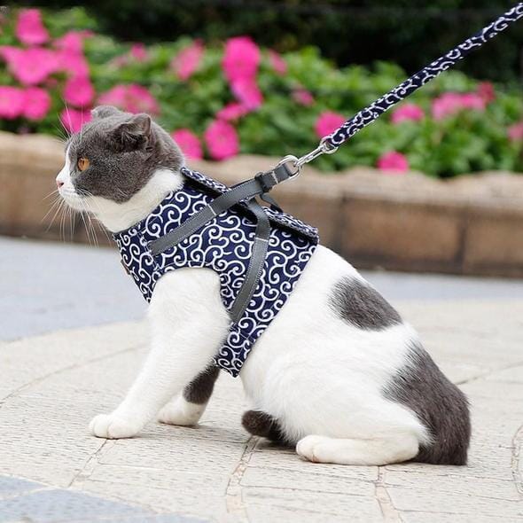 Skanto | Katt vest sele og båndsett for turer