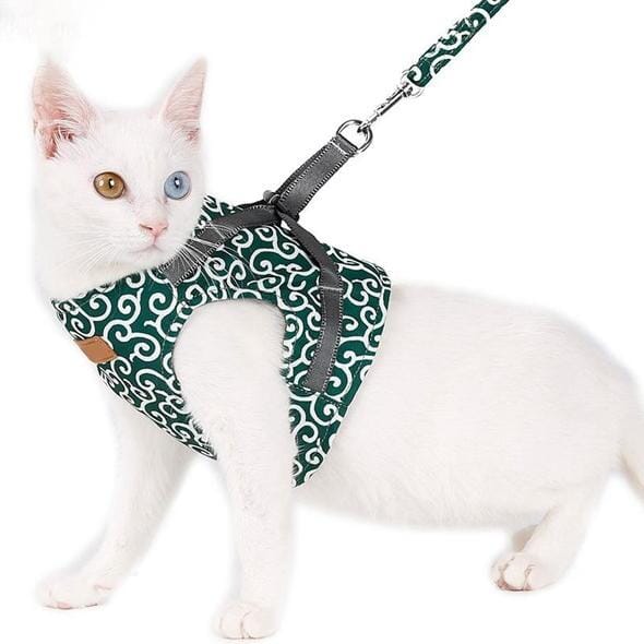 Skanto | Katt vest sele og båndsett for turer