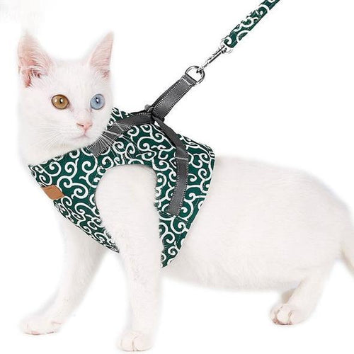 Skanto | Katt Vest Sele og Båndsett for Utegående Gåing