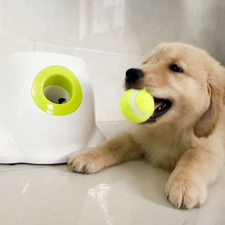PlayBolt Automatisk Ball Kaster for Hunder | Skanto