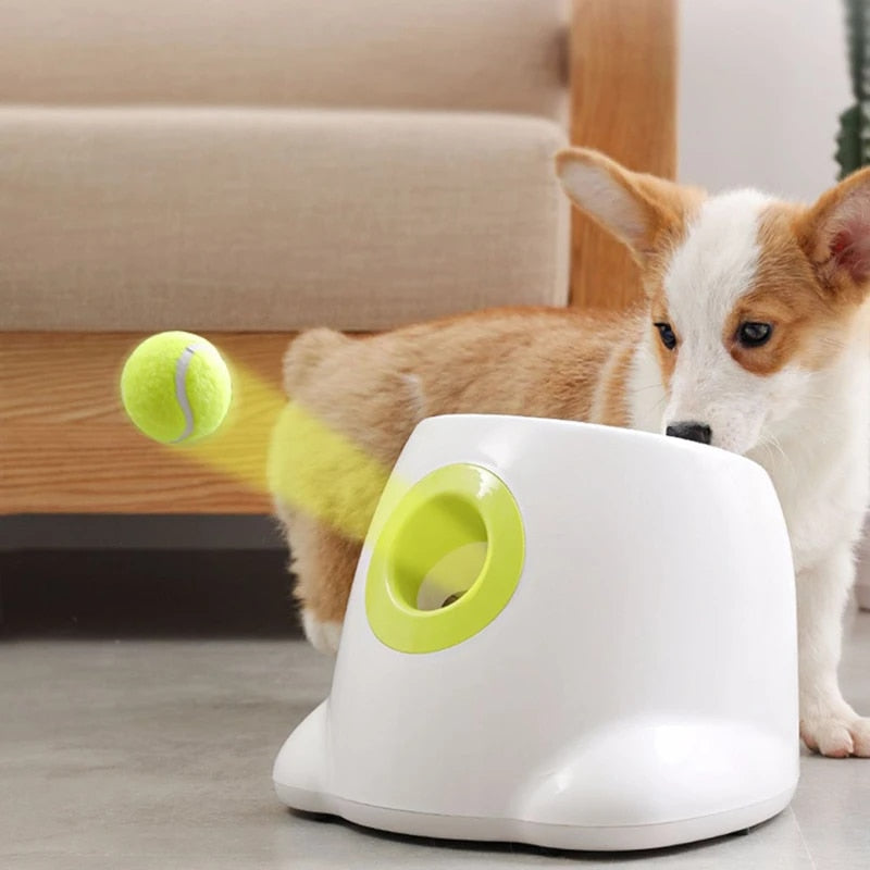 PlayBolt Automatisk Ball Kaster for Hunder | Skanto