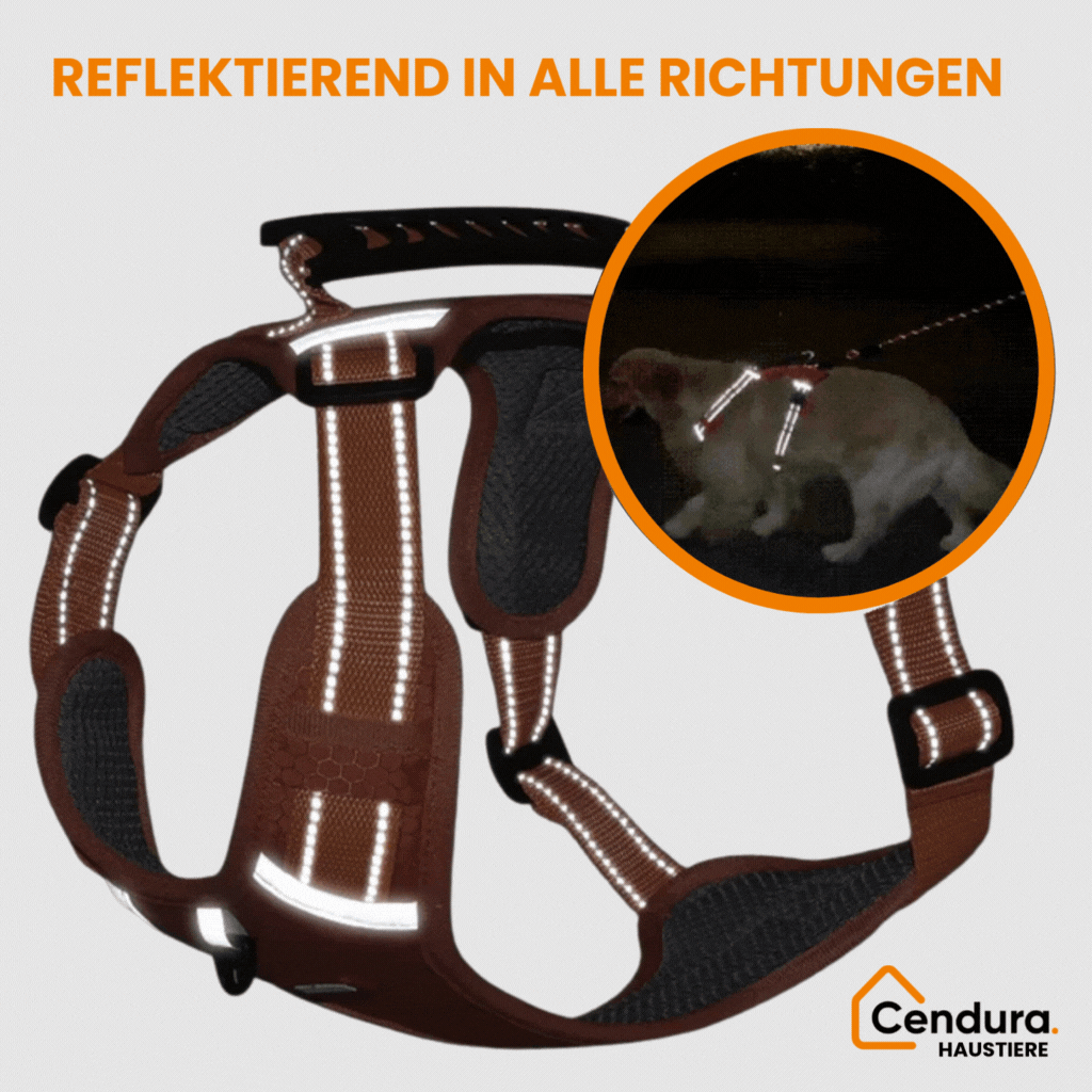 HappyHund sikkerhetssele refleks | Skanto