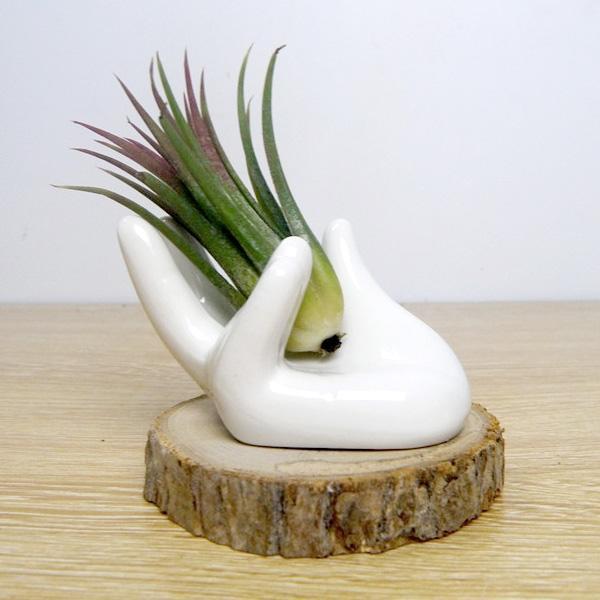 Keramisk Håndformet Luftplante Egg Smykkeholder | Skanto