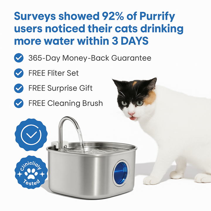 Skanto | Felindra Katte Drikkefontene Laget av Rustfritt Stål | Strømmende Vann for Bedre Hydrering | Stille & Hygienisk | 2,5 L Kapasitet