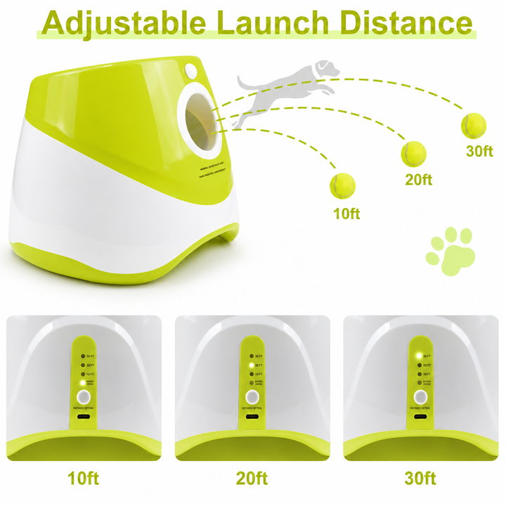 PlayBolt Automatisk Ball Kaster for Hunder | Skanto