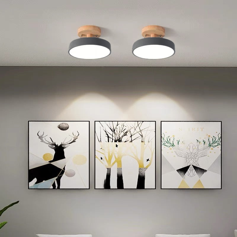 Skanto | LED Taklampe Tre Flush Montering Fixture