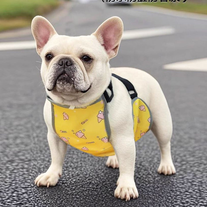 CooLie Frenchie Kjølevest – Sommer Magebeskyttelse Komfort | Skanto
