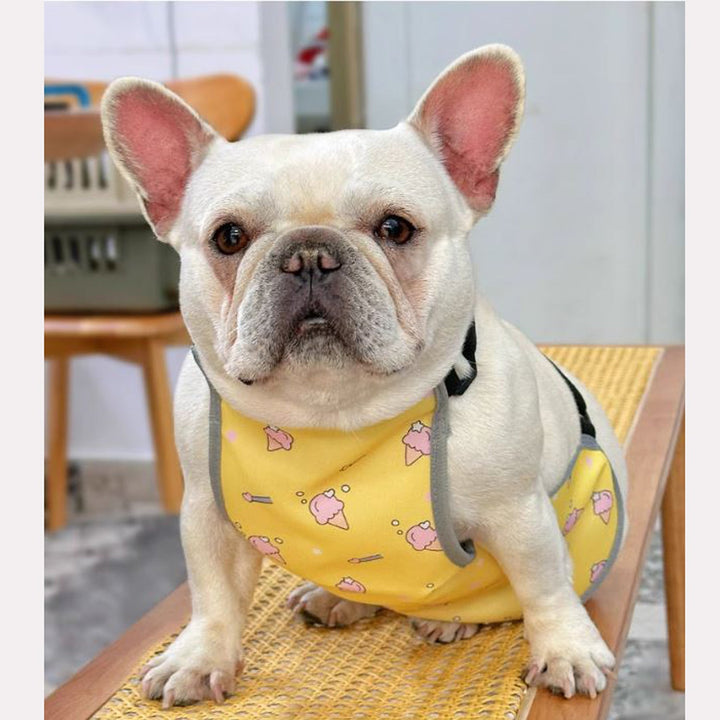 CooLie Frenchie Kjølevest – Sommer Magebeskyttelse Komfort | Skanto