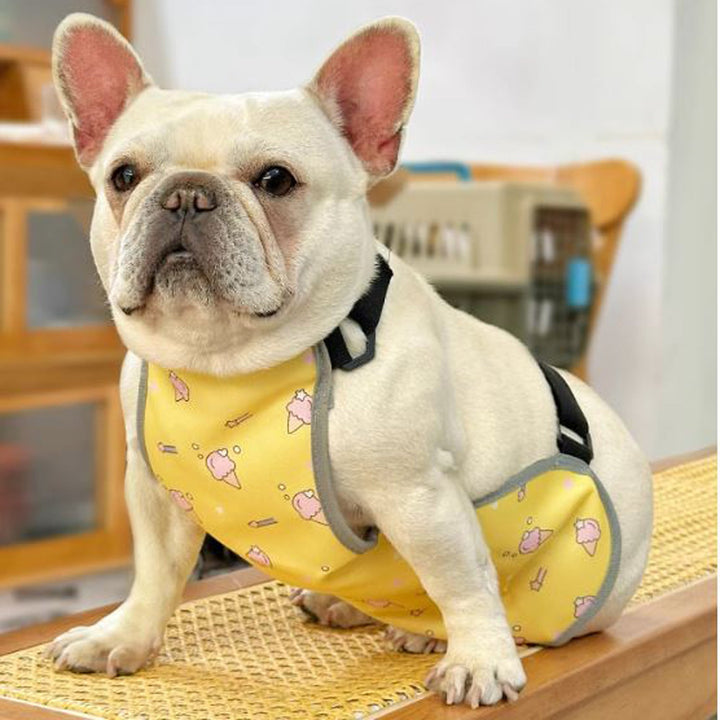 CooLie Frenchie Kjølevest – Sommer Magebeskyttelse Komfort | Skanto
