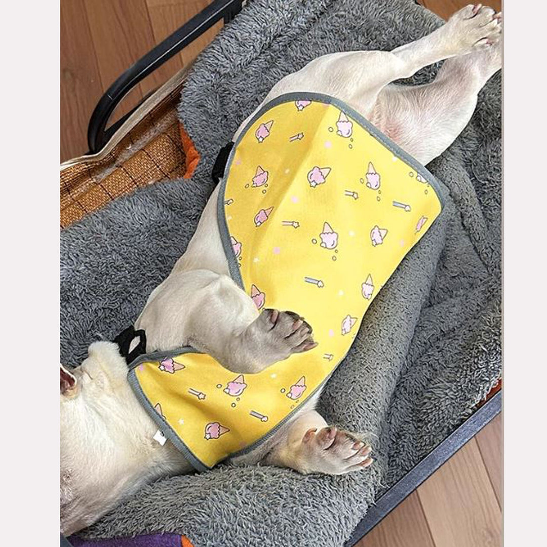 CooLie Frenchie Kjølevest – Sommer Magebeskyttelse Komfort | Skanto