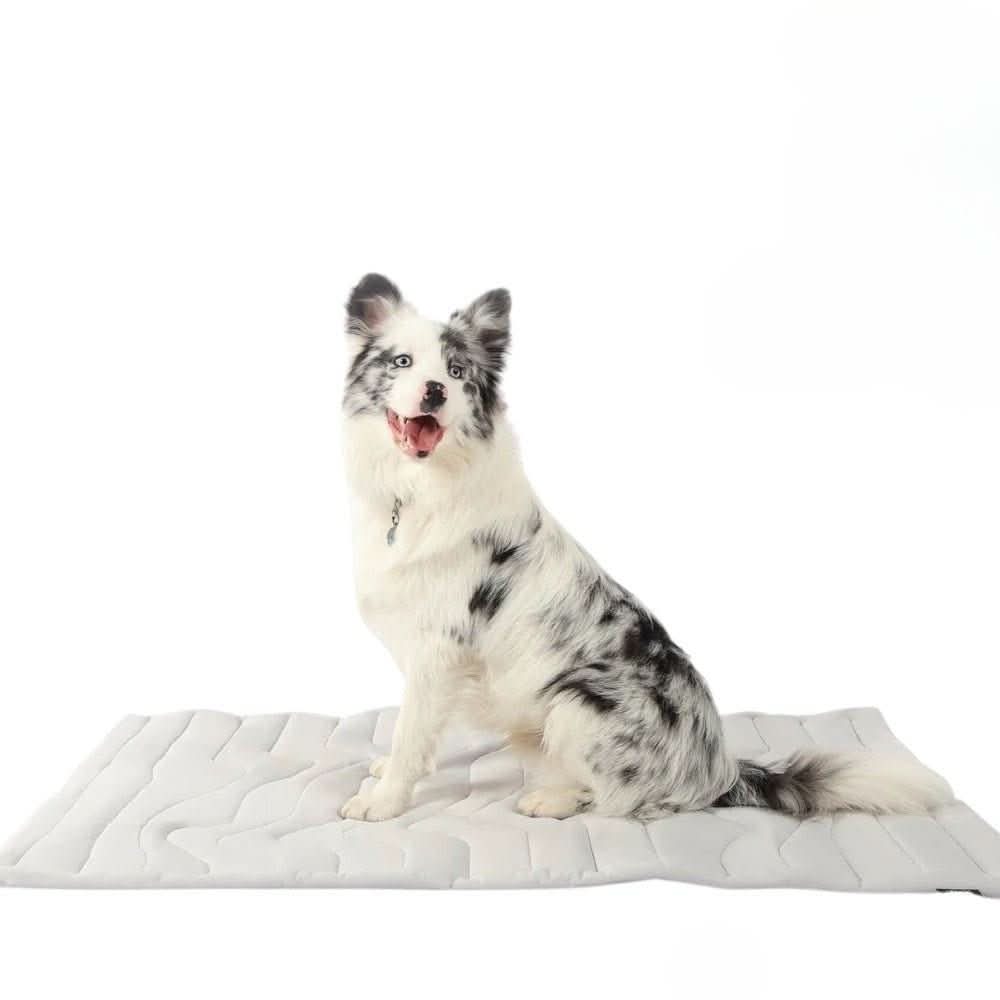 Skanto | Selvkølende hundematte for varme sommerdager & avslappede firbeinte venner