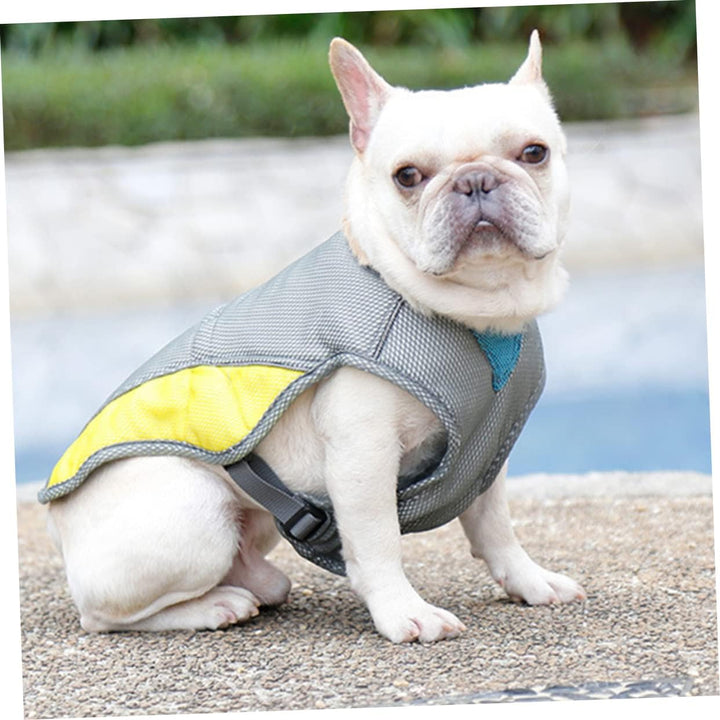 Coolify™ : Kjølevest for Fransk Bulldog (CS13) | Skanto