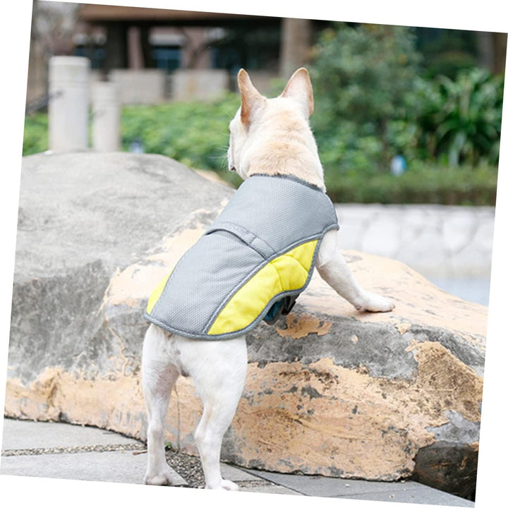 Coolify™ : Kjølevest for Fransk Bulldog (CS13) | Skanto