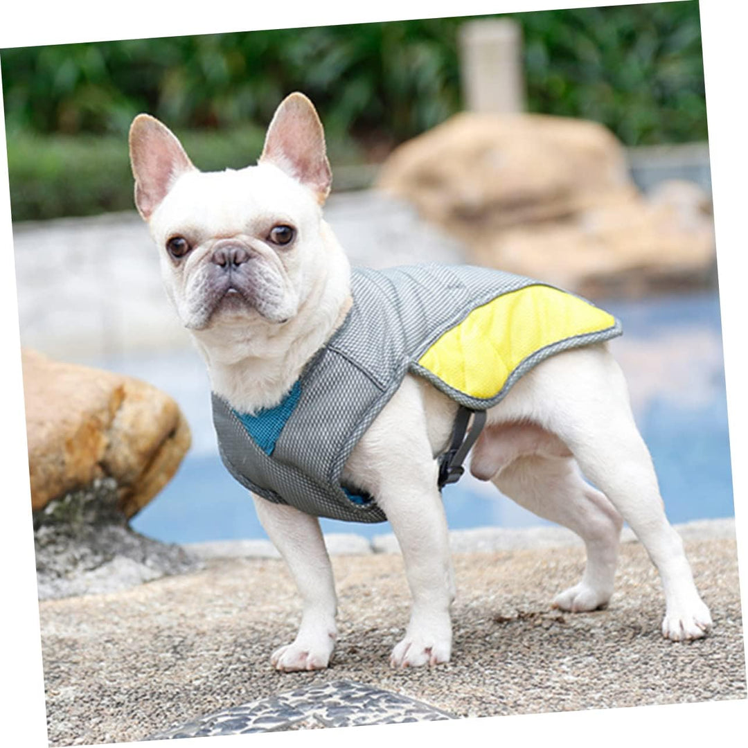 Coolify™ : Kjølevest for Fransk Bulldog (CS13) | Skanto