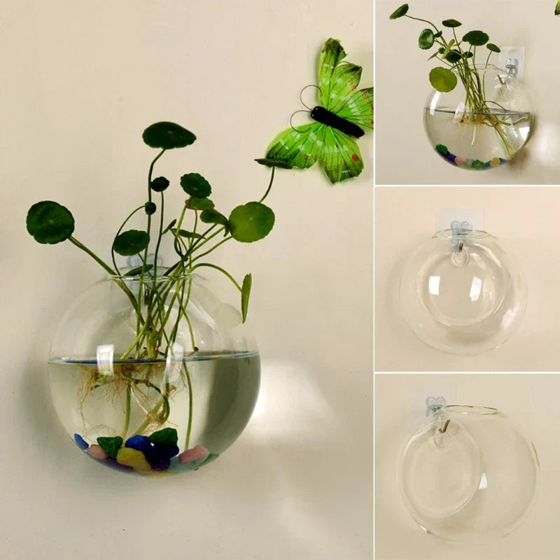 Skanto | AeroVase - Hydrologisk Glassdekorasjon