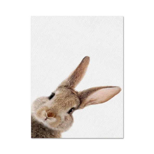 Søt kanin foto-shoot plakat veggkunst fine art lerrettrykk baby dyrebilder for barnerom veggdekorasjon | Skanto