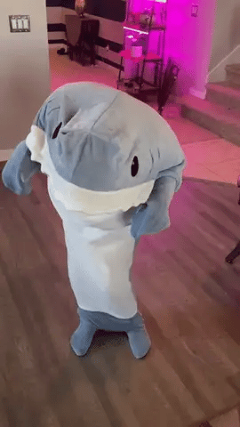 Shark Blanket 🦈 | Skanto