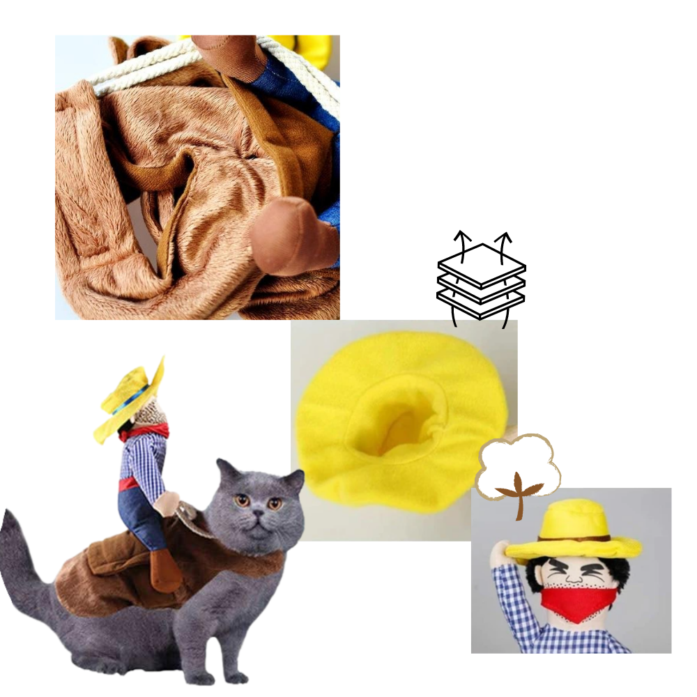 Cowboy hundekostyme