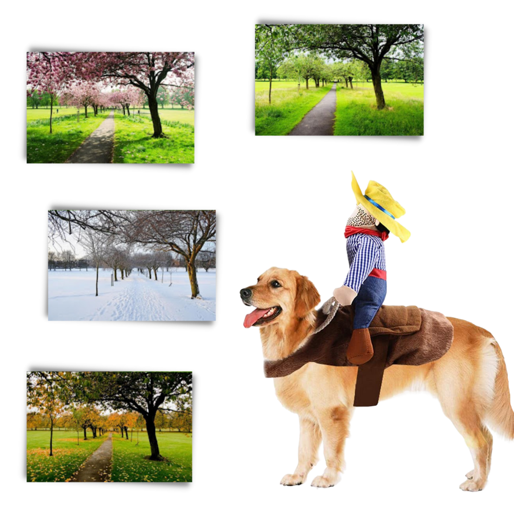 Cowboy hundekostyme