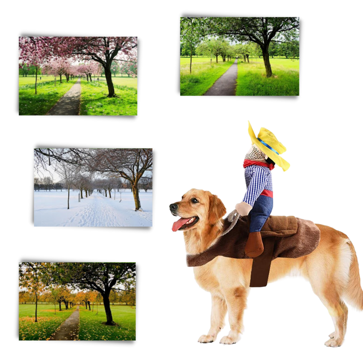 Cowboy hundekostyme