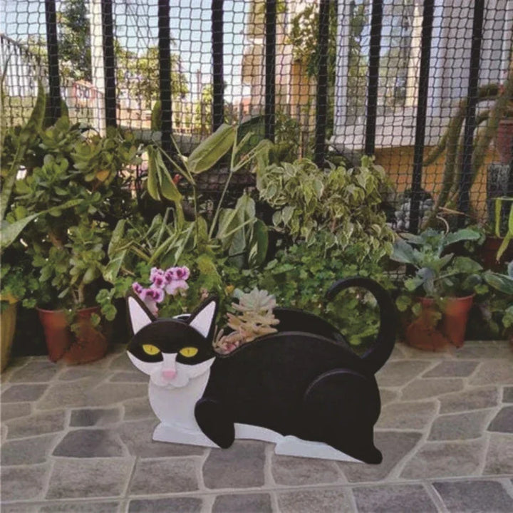 Skanto | Katt-formet DIY Hagepotte - KittyKraft