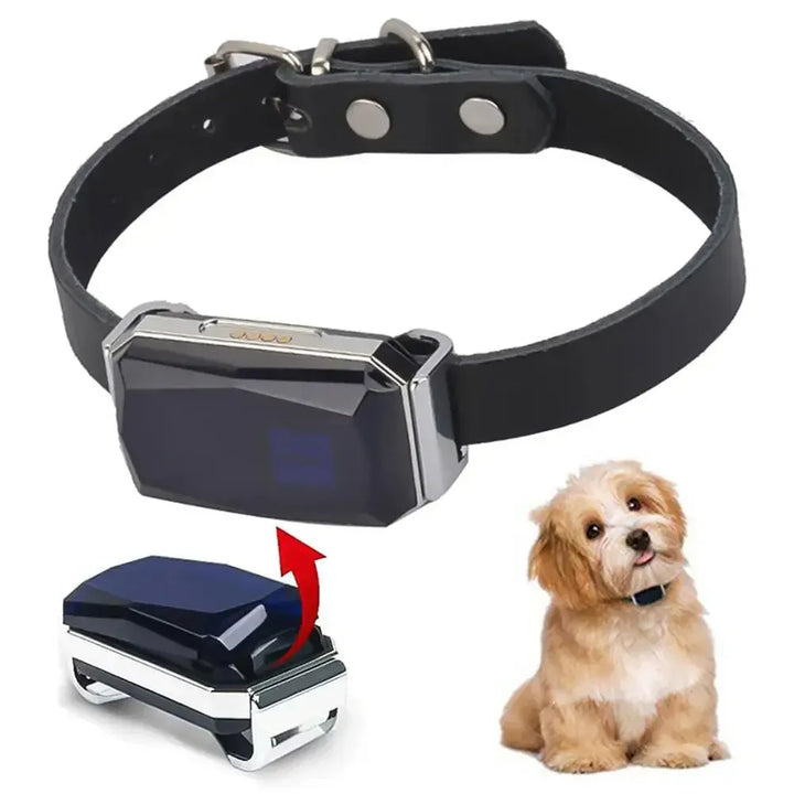 Pet GPS Tracker - Sanntid Plassering Sporingssystem for Kjæledyr | Skanto