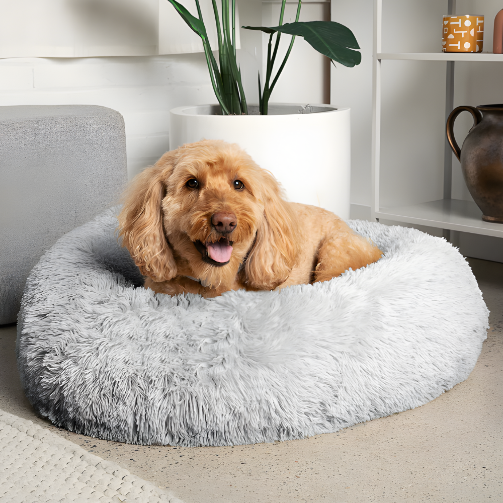 Skanto | Hund Beroligende Seng Myk Pluss Angstlindring Kosedyr Pute