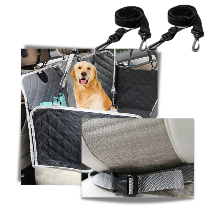 Bilsetetrekk til hund