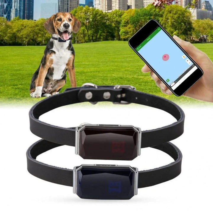Pet GPS Tracker - Sanntid Plassering Sporingssystem for Kjæledyr | Skanto