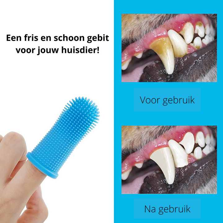Sikker hunde tannpleie for hjemmet Skanto